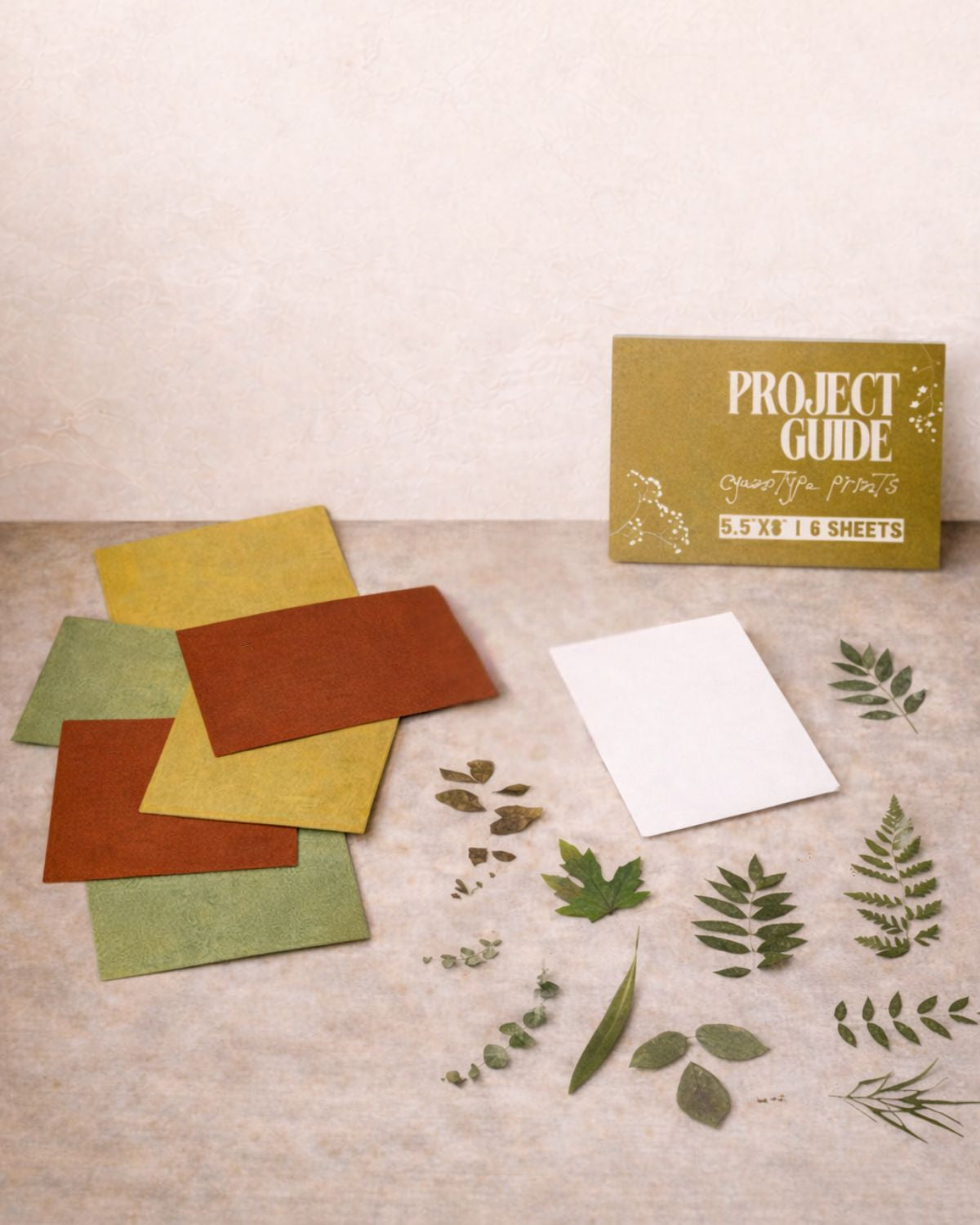 Sun Printing DIY Kit