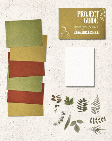 Sun Printing DIY Kit