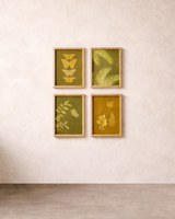 Sun Printing DIY Kit