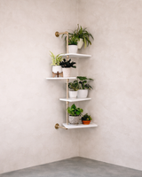 build this PLANT SHELF