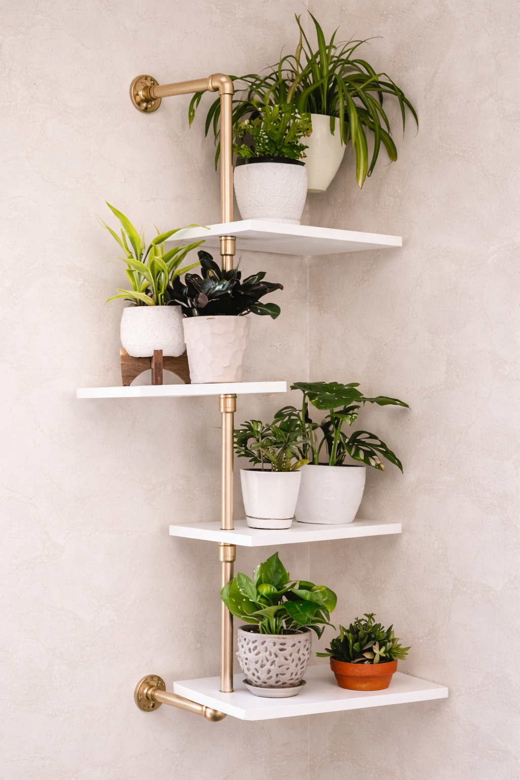 build this PLANT SHELF